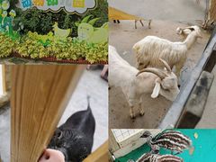 -广州长隆飞鸟乐园