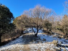 -北京鹫峰国家森林公园