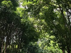 -南宁南湖公园