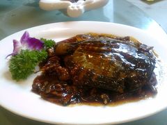 酱爆甲鱼-老正兴菜馆(福州路店)