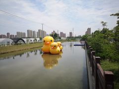 -菊园百果园