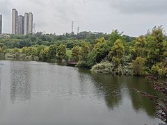 -张坝桂圆林公园