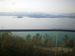 -浔味·山屿湖·正宗淳牌全鱼宴老字号