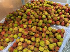 -百果园PAGODA(玄武成贤街店)