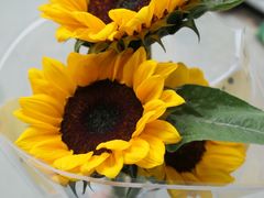 -麦当劳(天兴罗斯福店)