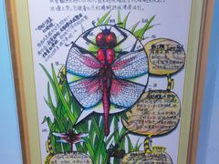 -上海昆虫博物馆