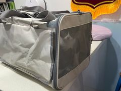 -爱诺动物医院(崂山店)