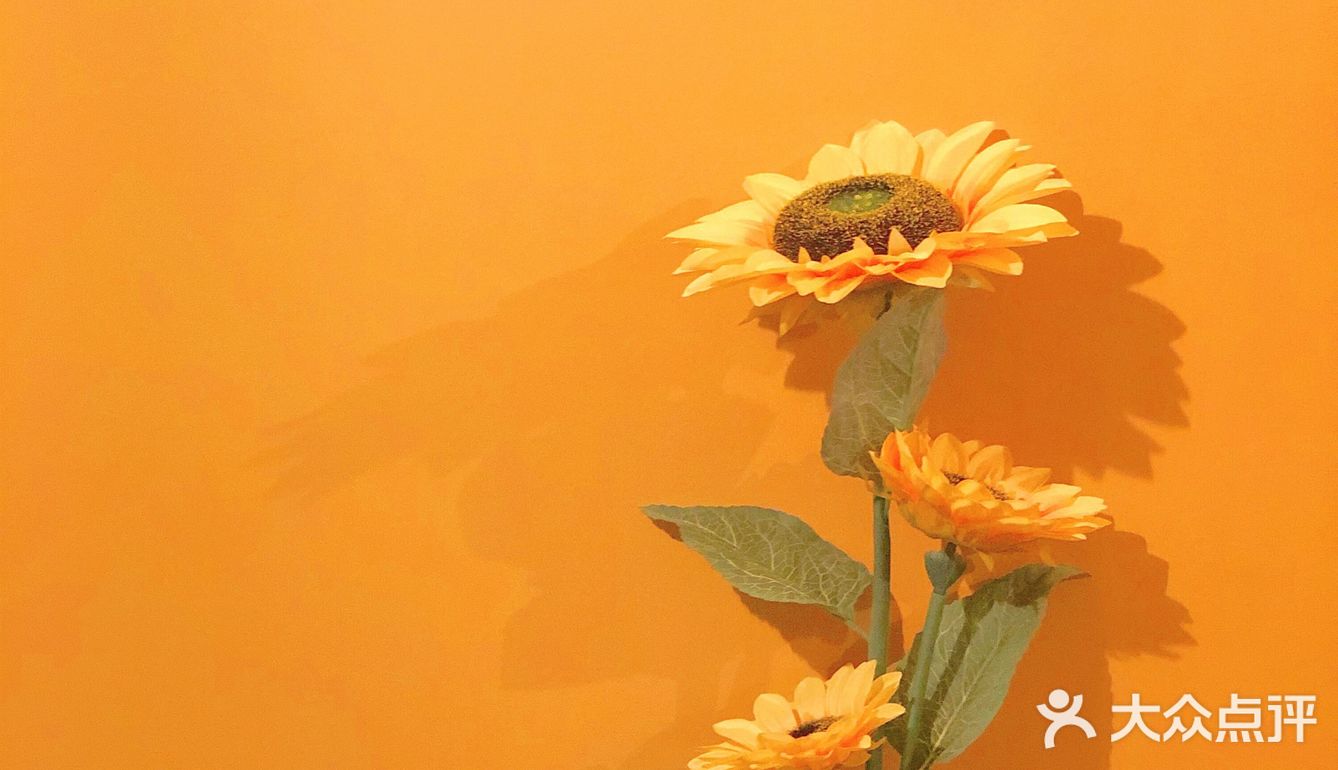 成都最黄小店💛美式brunch🐝BusyBee