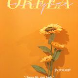 成都最黄小店💛美式brunch🐝BusyBee