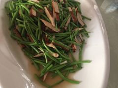 -丁老爷子苏香圆