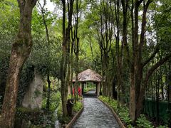 -黄山翡翠谷景区