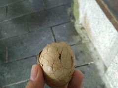 -金盆阿嬷香菇茶叶蛋(玄光店)