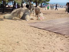 -老虎石海上公园