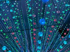 -天津梵高星空艺术馆(天河城旗舰店)