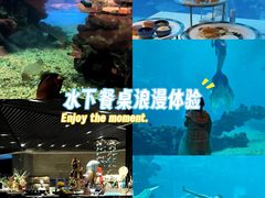 -海棠湾洲际-涛·海底餐厅·美人鱼·自助餐·海底隧道