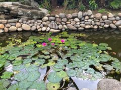 -三亚亚龙湾铂尔曼别墅度假酒店