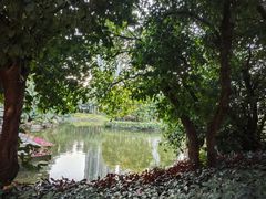 -广州珠江公园