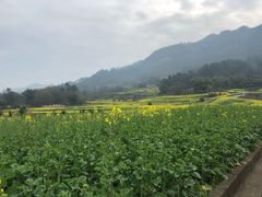 -樱桃山旅游景区