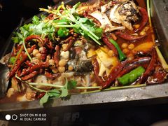 -探炉·香辣豆花烤鱼(雄峰城店)