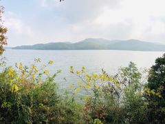 -天目湖涵田度假村