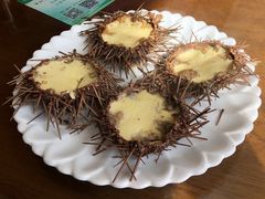 海胆蒸鸡蛋-抹直口特色菜馆(一店)