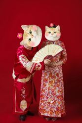 -CD视觉婚纱摄影