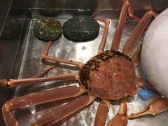 -蟹道乐(網元別館店)