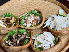 -滇野云南野生菌餐厅(陕西南路店)