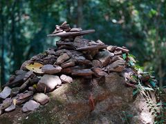 -莫里热带雨林景区