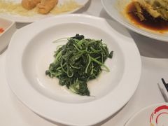 -圆苑(金茂店)