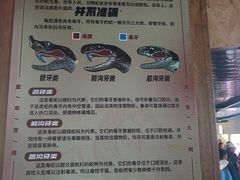 -昆明动物园