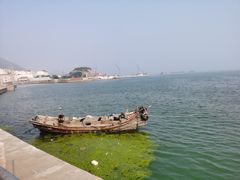 -青岛沙子口国家中心渔港