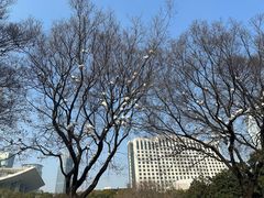 -人民广场