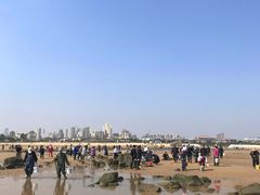 -巧克力渔家.小船海鲜胶东菜(万平口店)