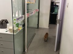 -联萌宠物医院(猫病专科)