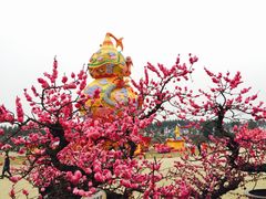 -秀丽东方