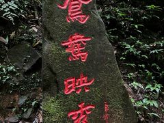 -碧峰峡风景区