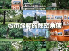 -莲花山公园