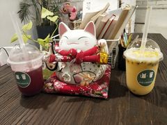 -有猫主题·治愈系猫咖(曾厝垵店)