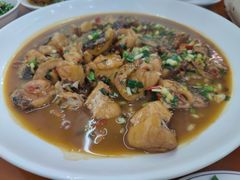 -全乐鱼馆·淳牌有机鱼直营店