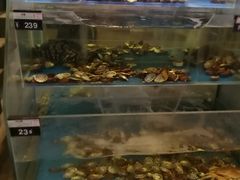 水产区-旺顺阁鱼头泡饼(小红门店)