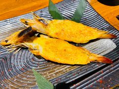 -青叶日式料理(飘亮阳光广场店)