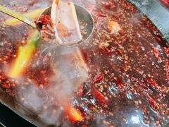鸿社鱿鱼-星鸿社重庆老火锅(燃灯寺分店)