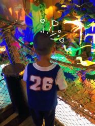 -恐龙探索乐园(磁器口店)