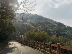 -杭州半山国家森林公园