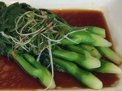 -新南华大酒店(长寿店)