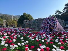 -南京老山国家森林公园