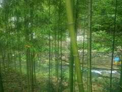 -藏龙百瀑漂流
