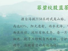 菲碧绞股蓝-厦门悦华酒店