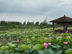 -苏州吴中太湖旅游区